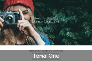 Тема One для Pagekit