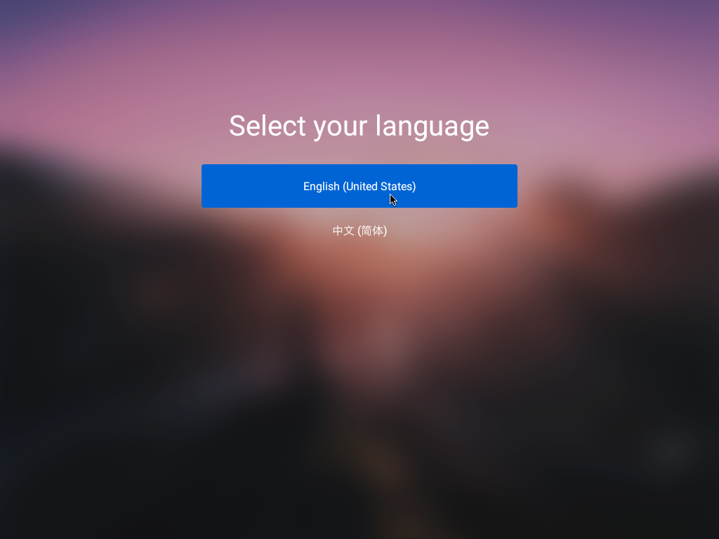 Выбор языка Remix OS